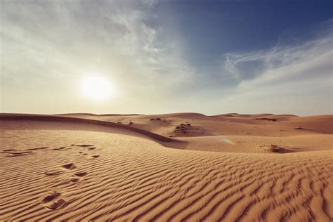 Free Images : landscape, sand, cloud, sunset, desert, dune, grassland, plateau, habitat, sahara ...