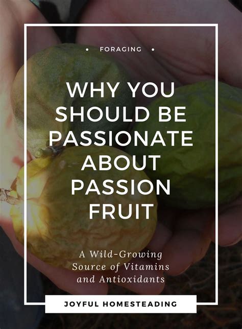 Passion fruit benefits. Is this surprisingly good vine growing in the ...