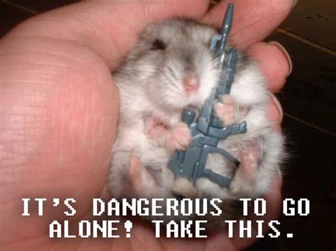 [Image - 234500] | It's Dangerous to Go Alone! Take This | Know Your Meme