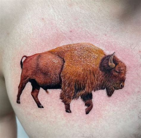 American Bison Tattoo