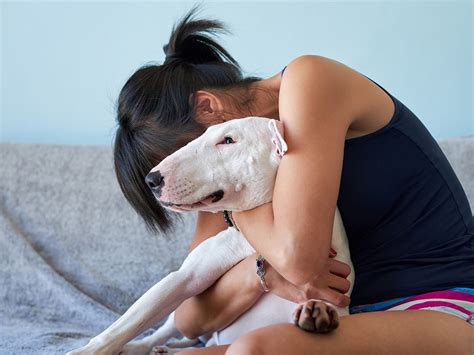 This Study Finds That Your Dog Cries Happy Tears, Just Like You · The Wildest