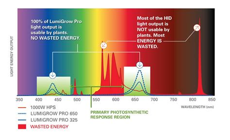 Best Light Spectrum For Aquarium Plants | Eqazadiv Home Design