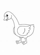 Goose Coloring Pages  Free Printable PDF JPG PNG & Online sketch template