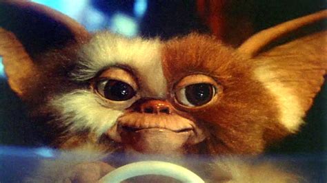 Gremlins movie review & film summary (1984) | Roger Ebert