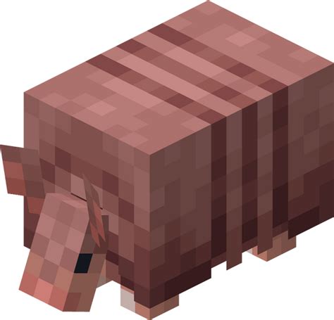 Armadillo – Minecraft Wiki