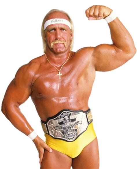 Hulk Hogan WWE Champion by NuruddinAyobWWE on DeviantArt