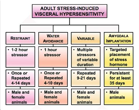 | Rodent models of stress-induced visceral hypersensitivity in adult ...