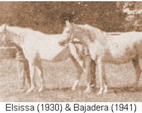 Elsissa 1930 ox: broodmare, Pedigree - rimondo