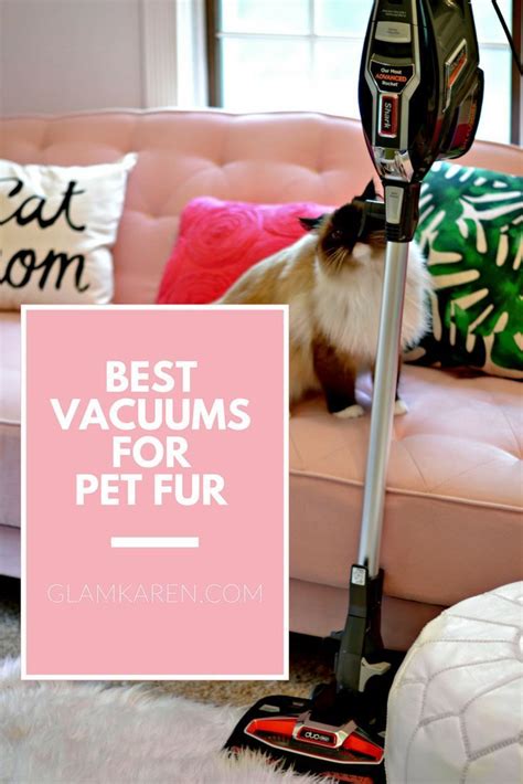 the best vacuums for pet fur