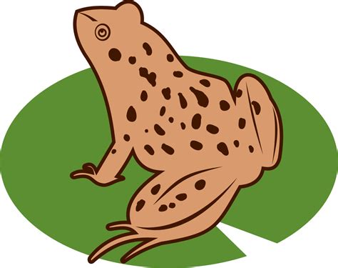 Toad clipart frog habitat, Picture #2136005 toad clipart frog habitat