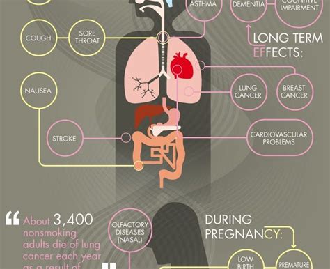 Negative Effects of 2nd Hand Smoking {Infographic} - Best Infographics