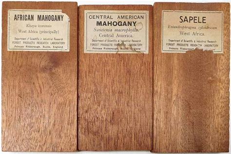 Mahogany Alternatives - In Search of Wood Substitutes - Woodworking Trade