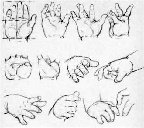 How to Draw Hands - Reference Sheets and Guides to Drawing Hands - How ...