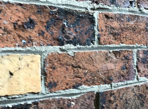 Brick Pointing & Mortar Design | Sydney BRICK REPAIR