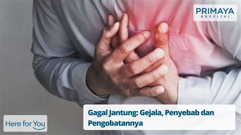 Gagal Jantung: Gejala, Penyebab dan Pengobatannya - Primaya Hospital