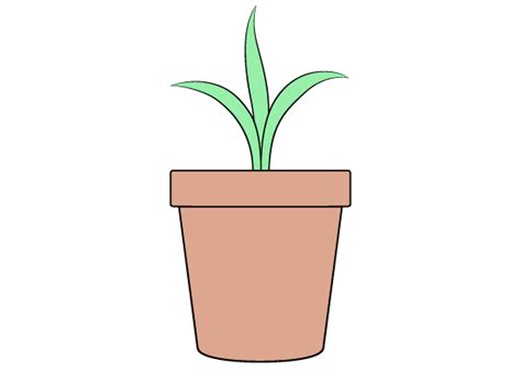 How to Draw a Plant Pot Step by Step - EasyLineDrawing