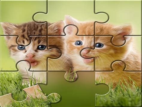 Cute Cats Puzzle game ftree Game - Play online at GameMonetize.co Games