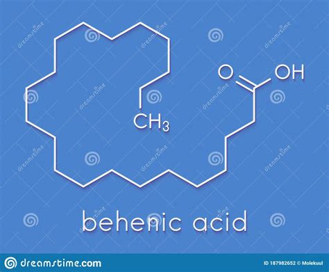 Behenic Acid Docosanoic Acid Saturated Fatty Acid Molecule. Skeletal Formula. Stock Illustration ...