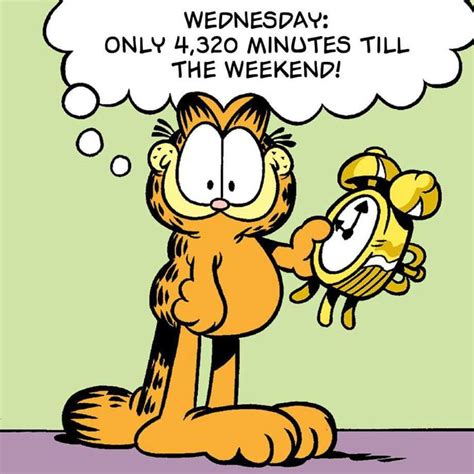 Pin by Johanna Aviles on Garfield | Morning quotes funny, Good morning funny pictures, Good ...