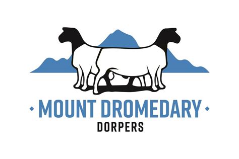 Dorper Sheep Society Australia – Dorper Studs – Tasmania