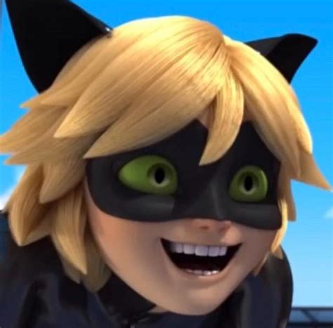 Arguably Cat Noir’s Best Face : r/miraculousladybug