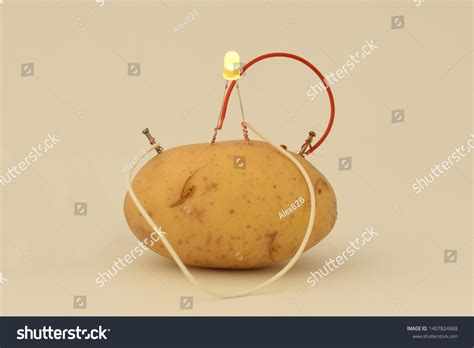 Potato Experiment: Over 1,226 Royalty-Free Licensable Stock Photos | Shutterstock