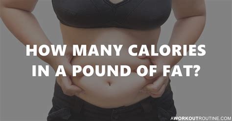 How Many Calories In A Pound Of Fat? (And How To Lose It!)