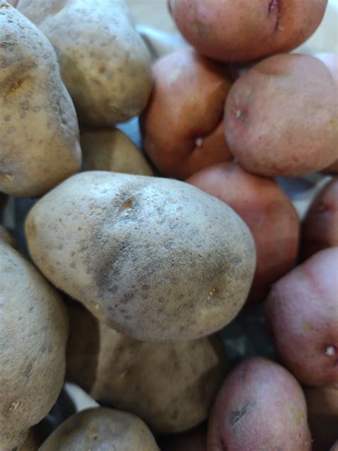 Russet Potatoes vs Red Potatoes: Nutrition and More - TheFarmChicken