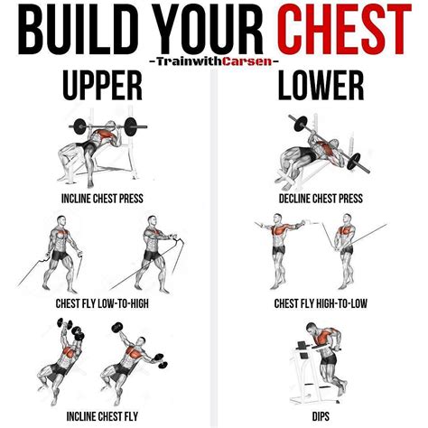 Top Gym Tips on Instagram: “Build Your Chest by @trainwithcarsen _ Follow @trainwithcarsen for ...