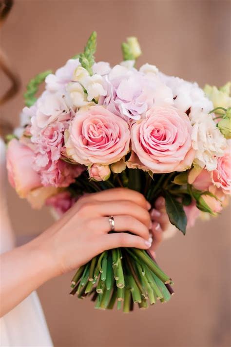 Photo of Woman's Hand Holding Out White Flowers In Front of White ...