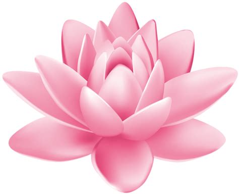 Pink Water Lily PNG Clipart | Flower drawing design, Water lily tattoos, Water lily