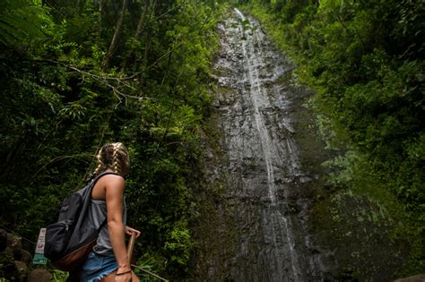 Top Hiking Trails on Oahu - 2021 Travel Recommendations | Tours, Trips & Tickets | Viator