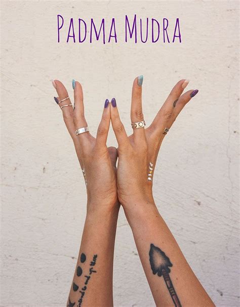 padma-mudra | This mudra, also known as the lotus mudra, resembles a ...