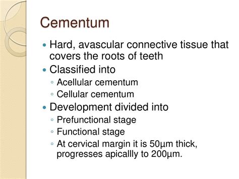 Cementum