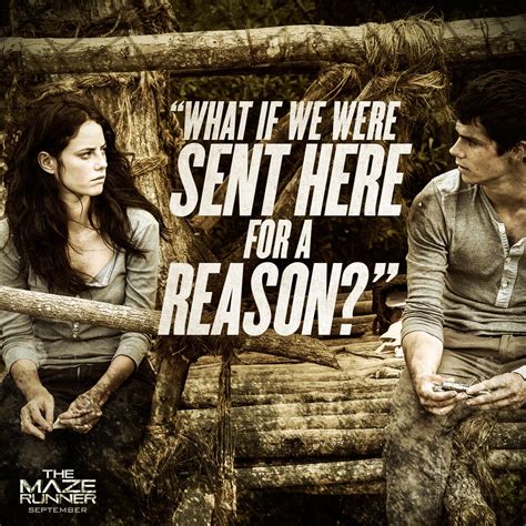 Newt Maze Runner Movie Quotes. QuotesGram