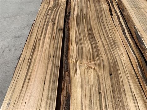 Ambrosia Maple Lumber Set 48122 - 4/4 - 24 pcs 9-10'