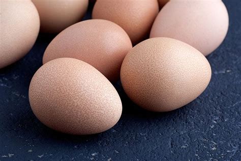 Guinea Fowl Eggs - What You Need to Know - Lady Lee's Home