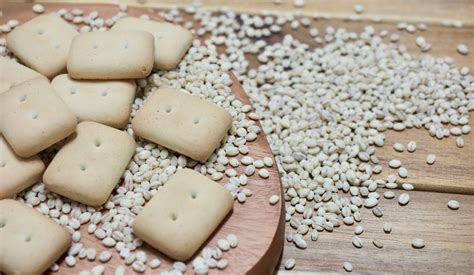 Survival Food – Hardtack - RedTea News