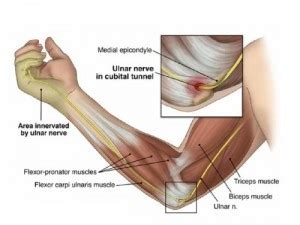 Funny bones aren’t funny | SiOWfa14 Science in Our World: Certainty and Cont