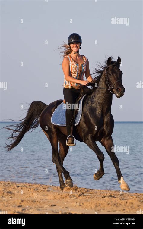 woman riding on Arabian horse Stock Photo - Alamy