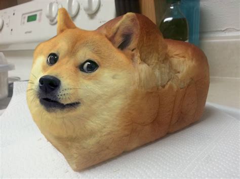 Dear Reddit, give us this day our daily Doge bread. : r/dogecoin