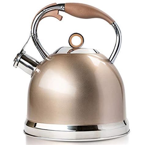 Best Induction Kettles - UK Review 2021 - Ultimate Buyers Guide