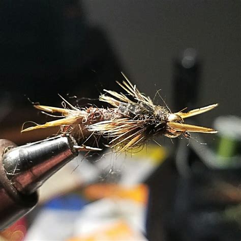 Golden stonefly nymph tied by Corbin Christensen | Fly fishing flies ...