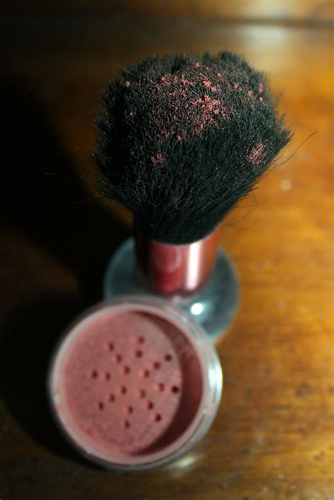 Blush (Object) | Powdered blush | Jenn Durfey | Flickr