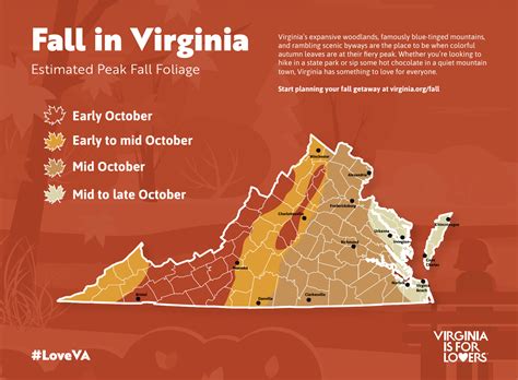 Fall Foliage Forecast