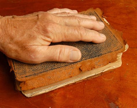 Hand on a bible Free Photo Download | FreeImages