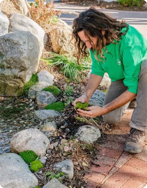 Pond & Water Feature Maintenance - So Cal Ponds