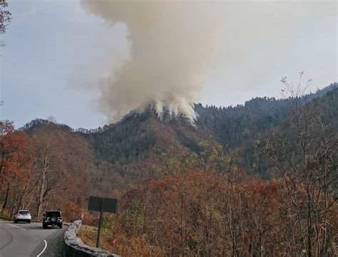 NPS releases information about the Chimney Tops 2 Fire - Wildfire Today