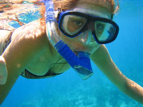 Snorkeling in San Andres Island 7 Free Photo Download | FreeImages