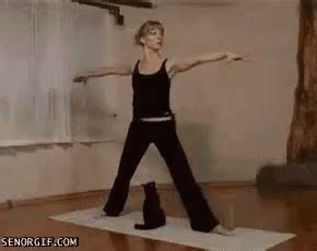 Yoga Funny GIF - Yoga Funny Cat - Discover & Share GIFs